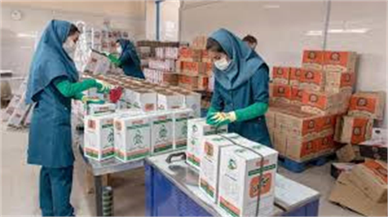 ۱۶۰۰ سبد غذایی بین مادران شیرده و باردار روستایی استان ایلام توزیع شد