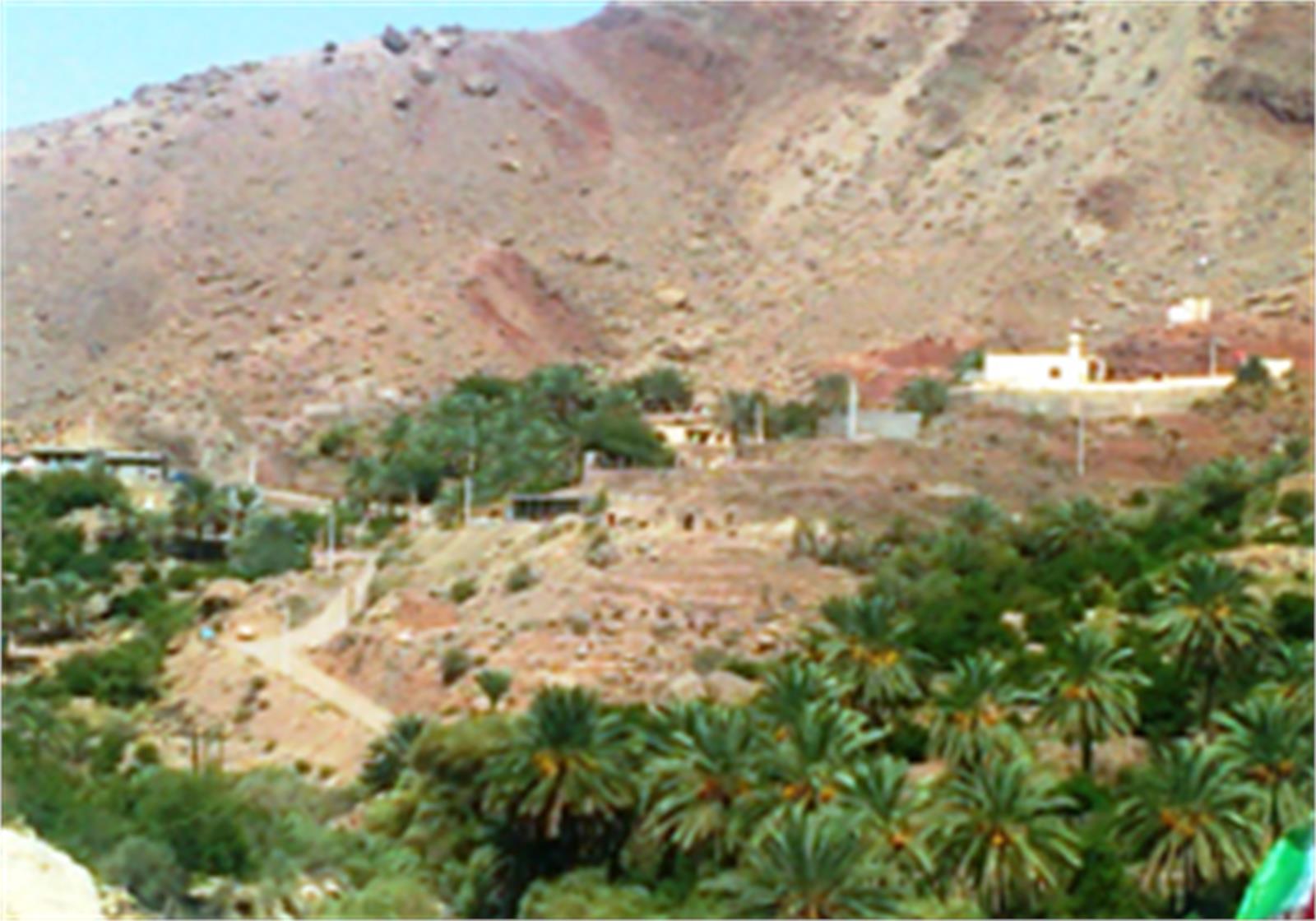 اجرای طرح توان افزایی جوامع روستایی در بخش احمدی
