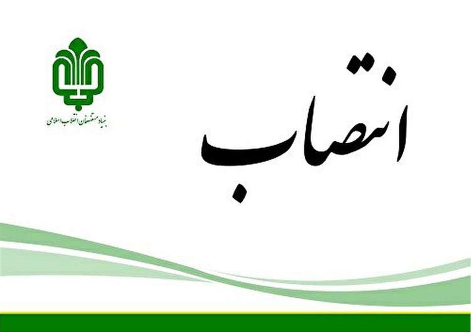 مدیرعامل هلدینگ صنایع معدنی کاوه پارس منصوب شد